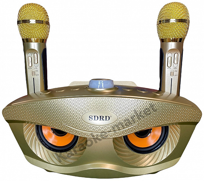 Караоке система SDRD SD 306 bluetooth Москва - изображение 1