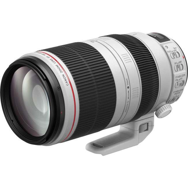 Объектив Canon EF 100-400mm 4.5-5.6L IS II USM Москва - изображение 1