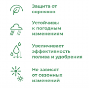 Грядка оцинкованная с полимерным покрытием 1,0х3,0 м, высота 20 см (зеленый мох) доставка из г.Москва